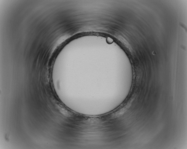 X0000097500974200803142016