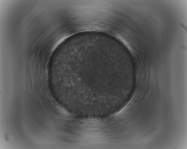 X0000097500975200803142016