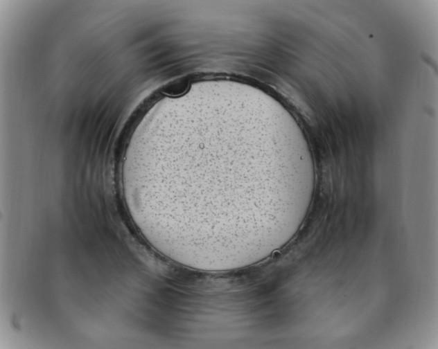 X0000097500976200803142016