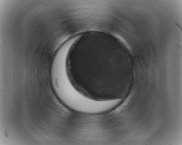 X0000097500977200803142016