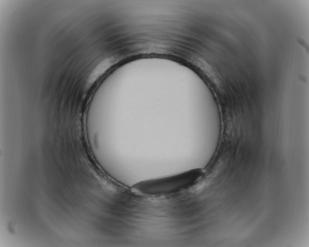 X0000097500978200803142016