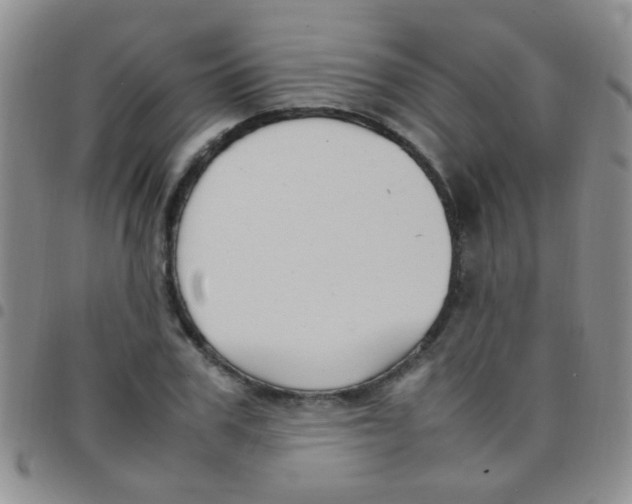 X0000097500979200803142016