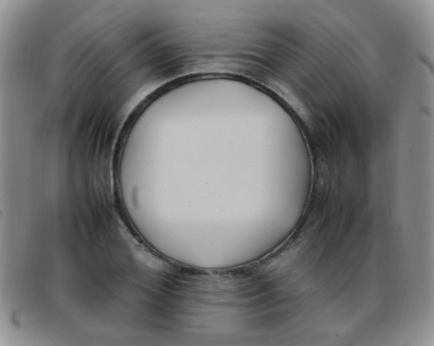 X0000097500980200803142016