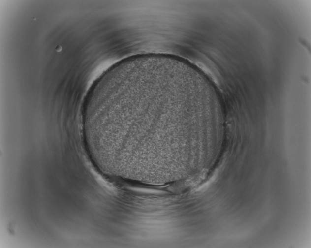 X0000097500981200803142016