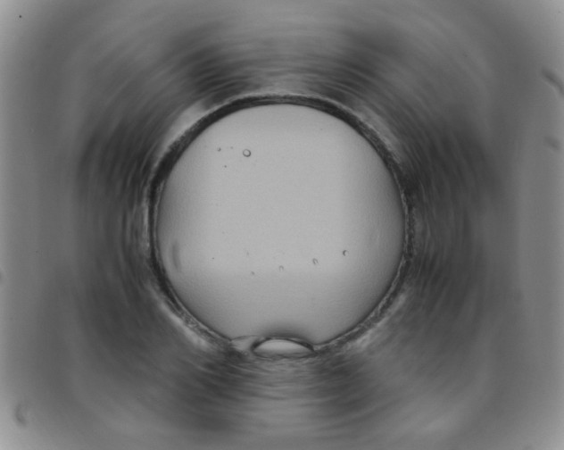 X0000097500982200803142016