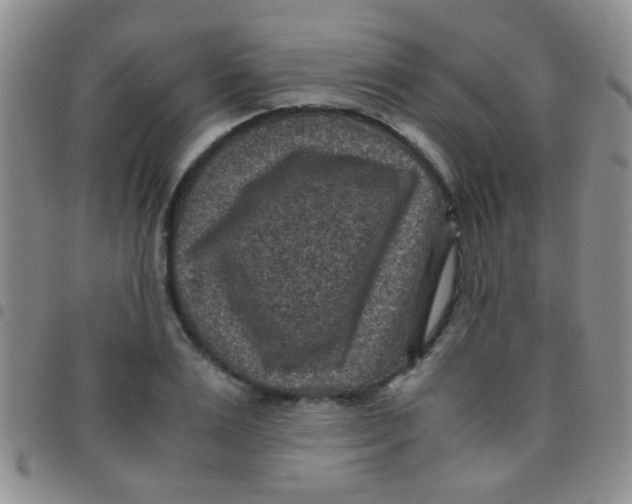 X0000097500983200803142016