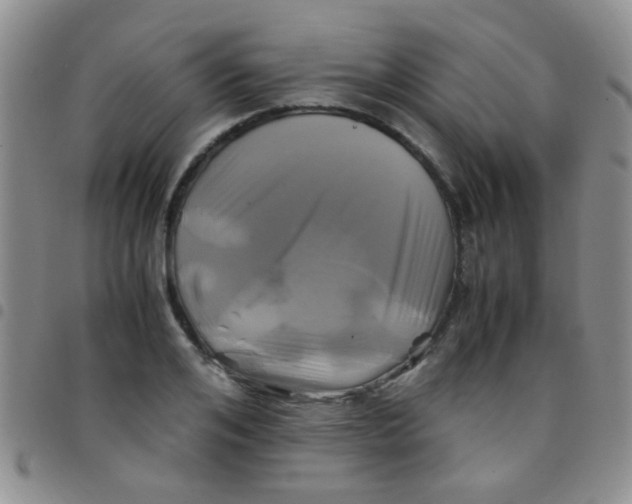 X0000097500984200803142016