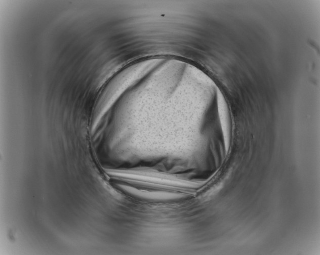 X0000097500985200803142016