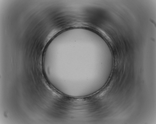 X0000097500986200803142016