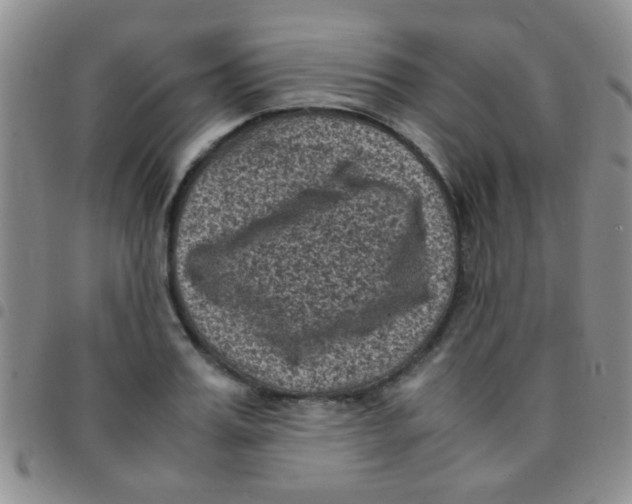 X0000097500987200803142016