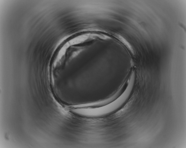 X0000097500988200803142016