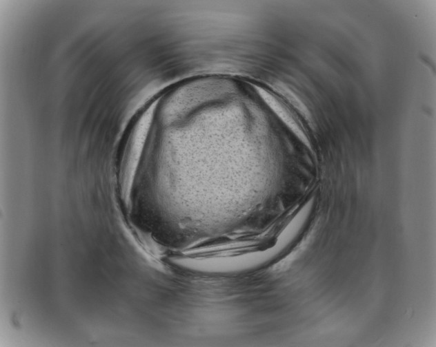 X0000097500989200803142015