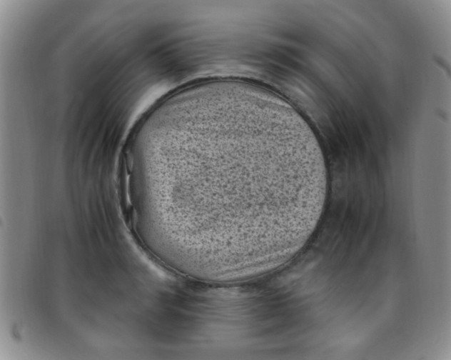 X0000097500990200803142015