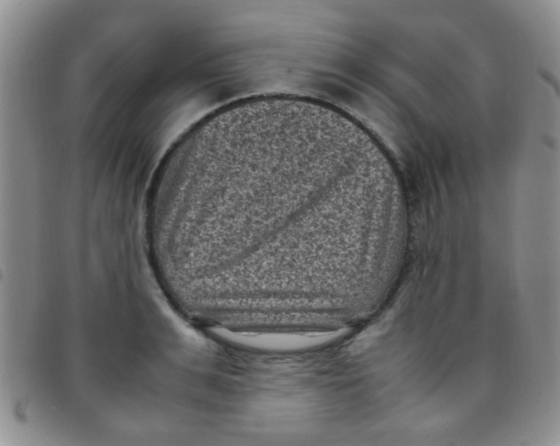 X0000097500991200803142015