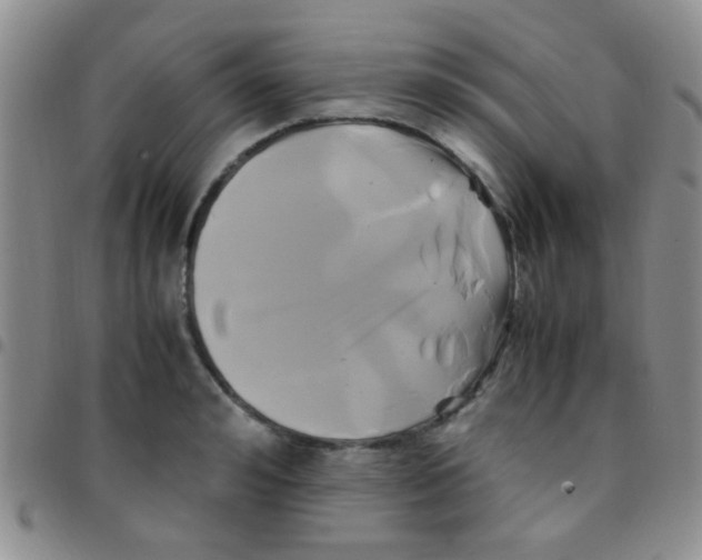 X0000097500992200803142015