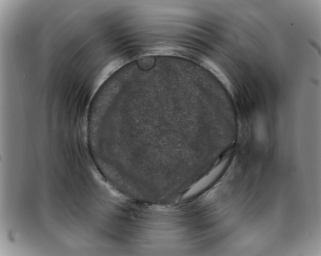 X0000097500994200803142015