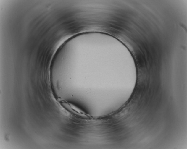 X0000097500996200803142015