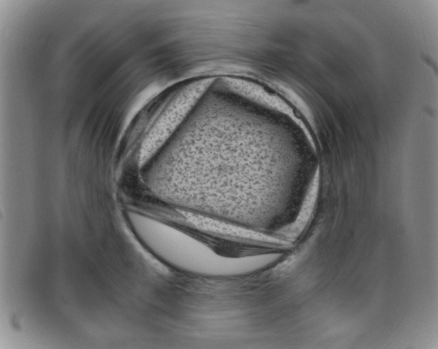 X0000097500997200803142015