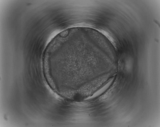 X0000097500998200803142015