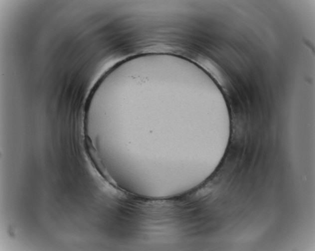 X0000097501000200803142015