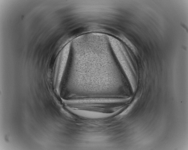 X0000097501001200803142015