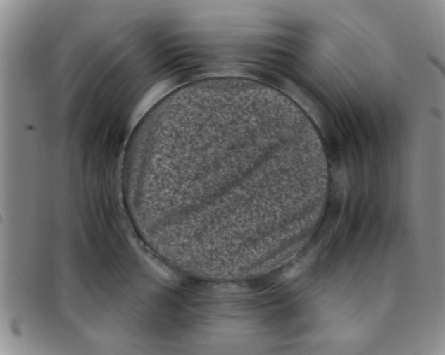 X0000097501002200803142015