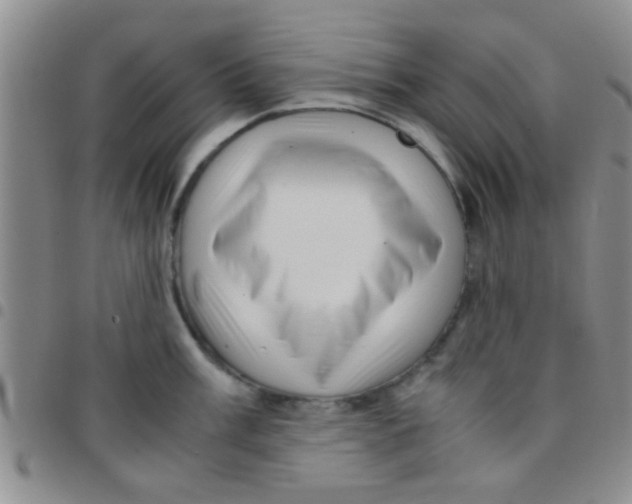 X0000097501003200803142015