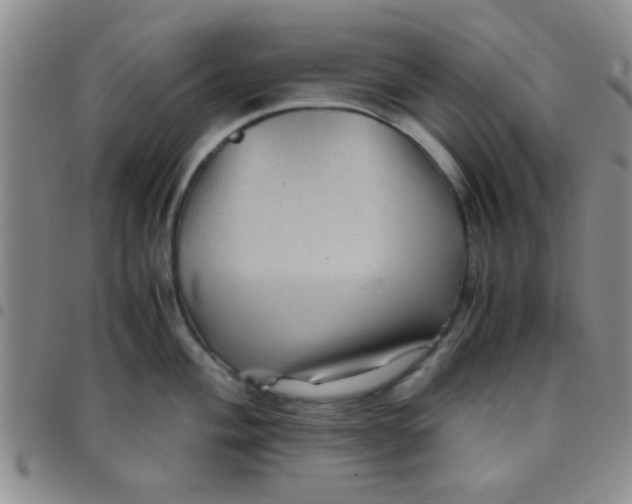 X0000097501004200803142015