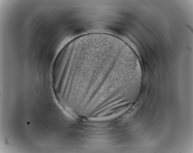 X0000097501005200803142015