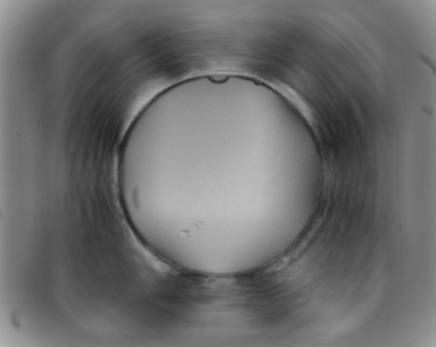 X0000097501006200803142015