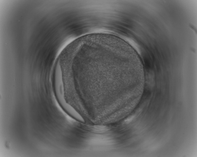 X0000097501007200803142015