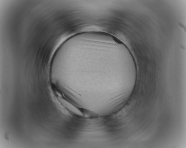 X0000097501008200803142015