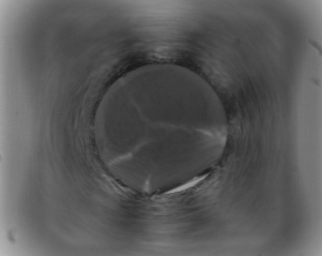 X0000097501009200803142015