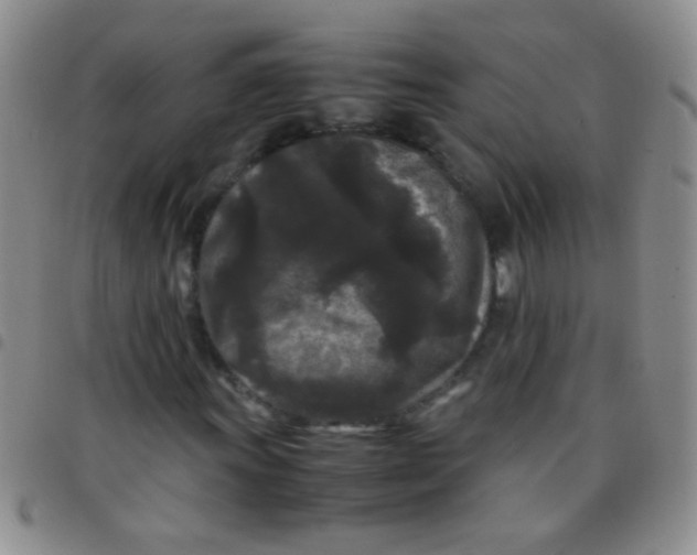 X0000097501011200803142015