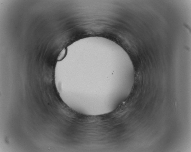 X0000097501012200803142015