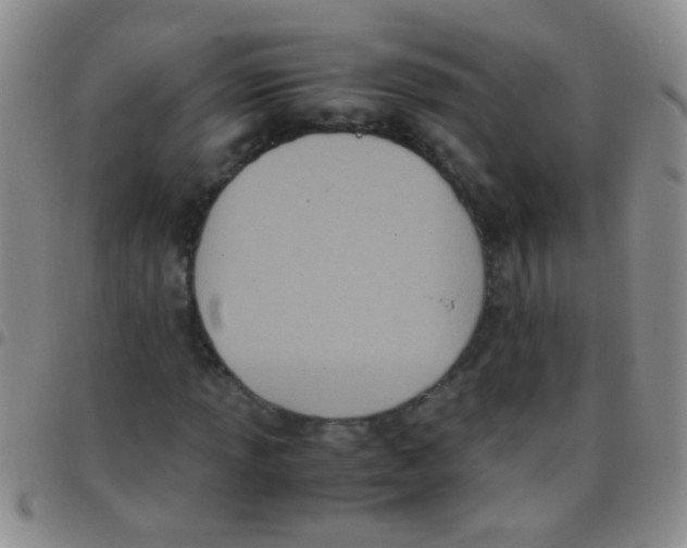 X0000097501013200803142015