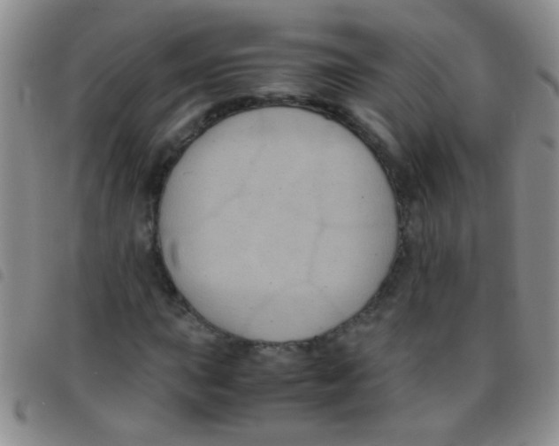 X0000097501015200803142015