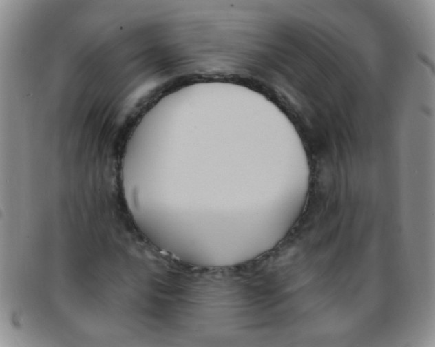 X0000097501016200803142015