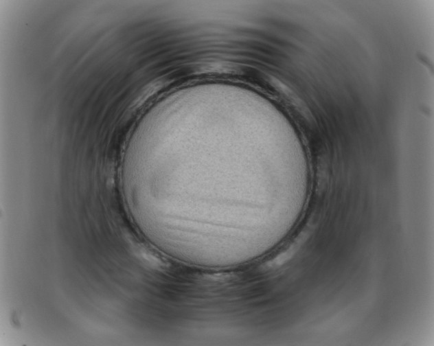 X0000097501017200803142015