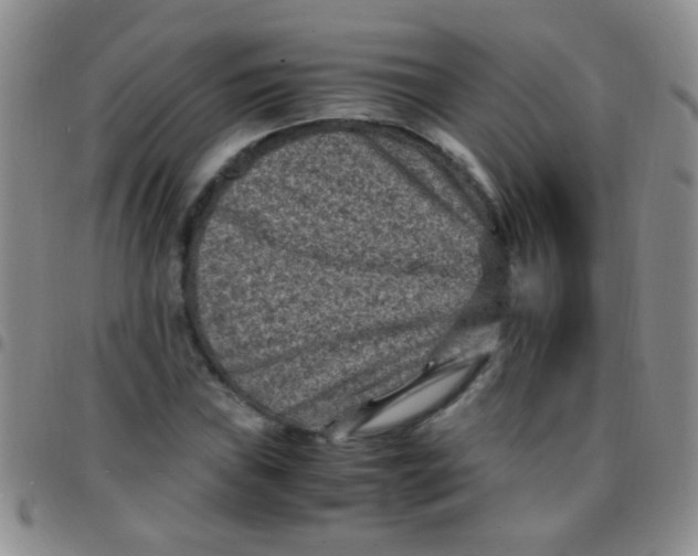 X0000097501019200803142015