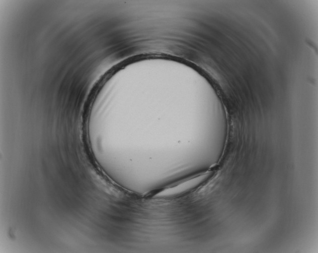 X0000097501020200803142015