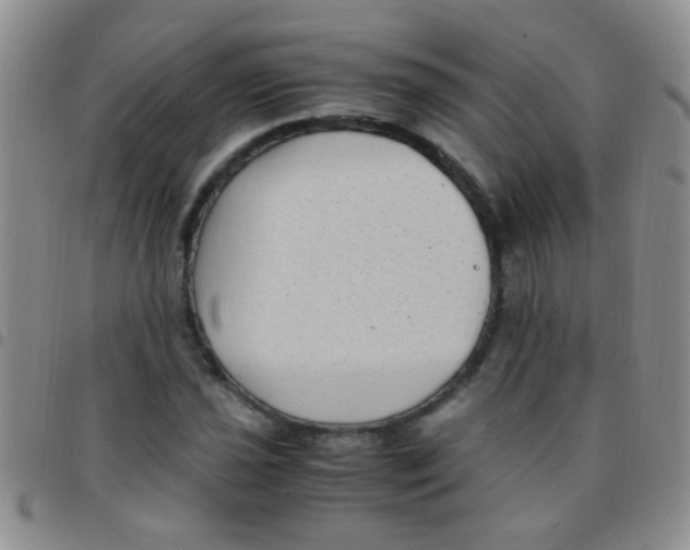 X0000097501021200803142015