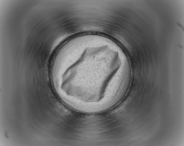 X0000097501022200803142015