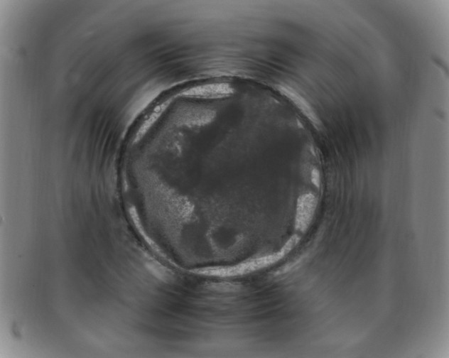 X0000097501023200803142015