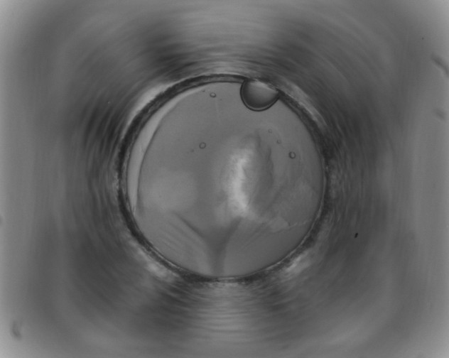 X0000097501024200803142015