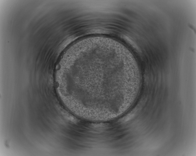 X0000097501025200803142015