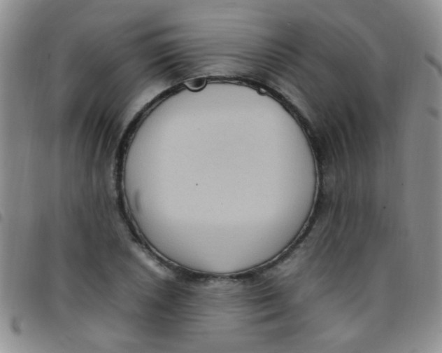 X0000097501026200803142015