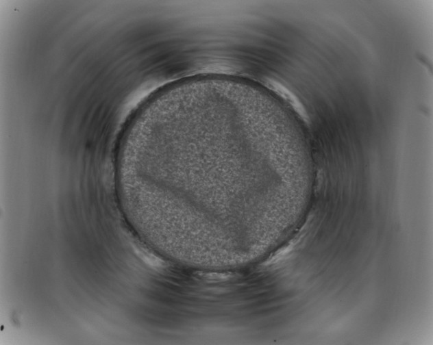 X0000097501027200803142015