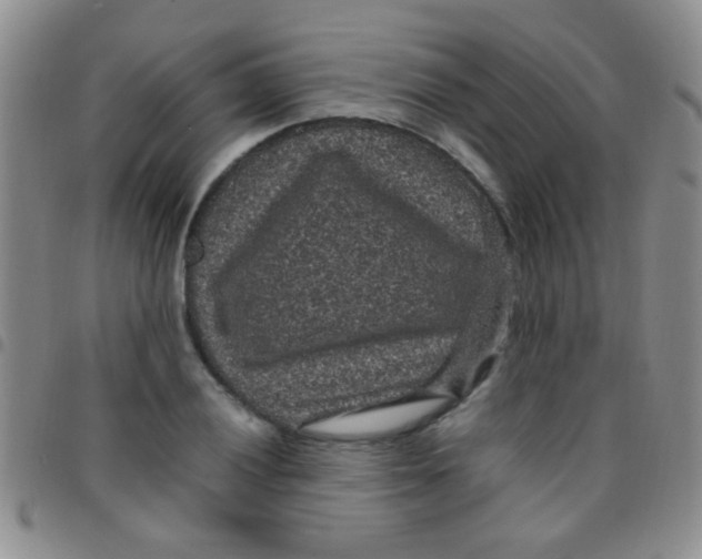 X0000097501028200803142015