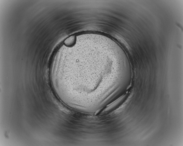 X0000097501029200803142015